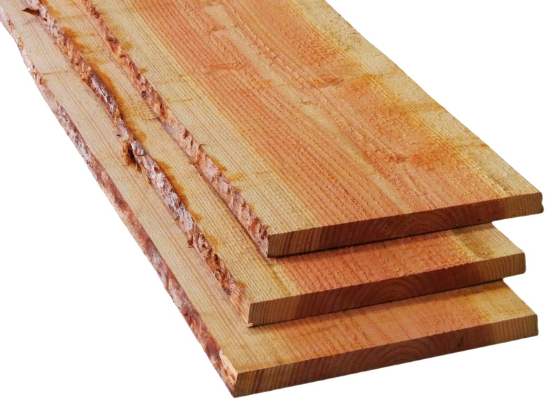 Bezwaar Cater Nodig hebben Schaaldeel Douglas hout 1.9x15-25x250 cm - Douglas Houthandel